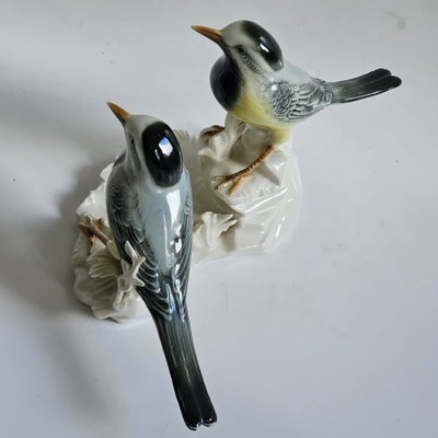 Birds Karl Ens