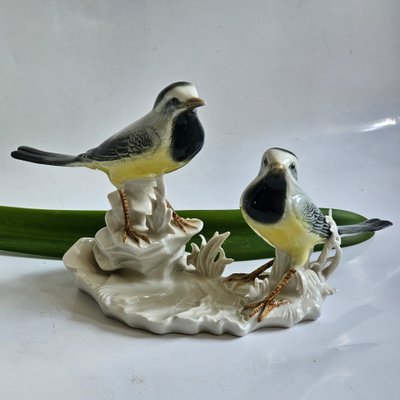 Birds Karl Ens