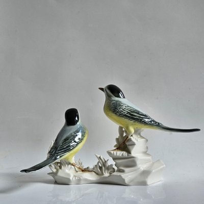Birds Karl Ens