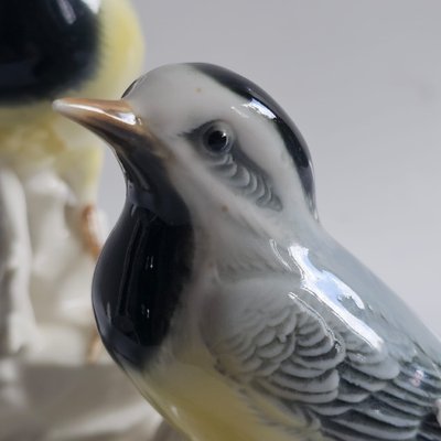 Birds Karl Ens