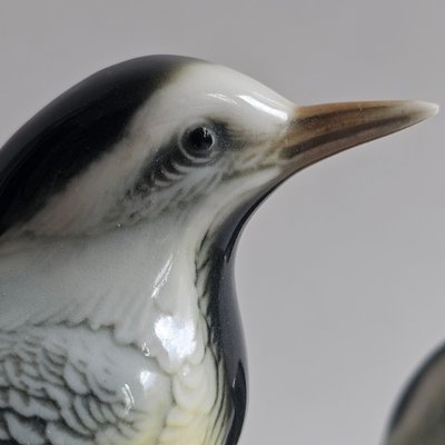 Birds Karl Ens