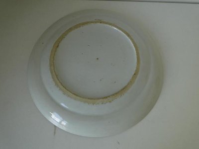 Piatto blu e bianco, porcellana cinese, decorazione con vegetazione antica