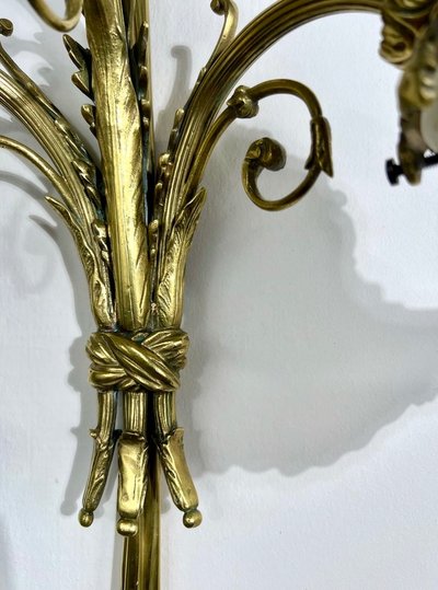 Pair of Bronze and Frosted Glass Tulip Wall Sconces