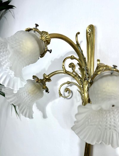 Pair of Bronze and Frosted Glass Tulip Wall Sconces