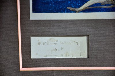 Collage/Malerei Unterzeichnet Jacques Prévert 1969
