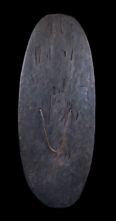Shield, oceanic art, sculpture, tribal art, primitive art, Oceania, Papua New Guinea