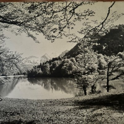 Photo on wood panel mountain landscape 1960