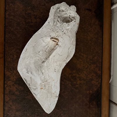 Bas-relief en plâtre représentant un bébé par Charles Filleul XXe