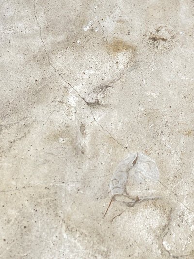 Médaillon bas-relief XIXe représentant un jeune homme en costume