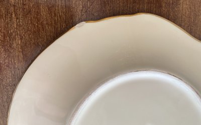 12 Ceramic Plates Ivory Design Fish with Gold Trim