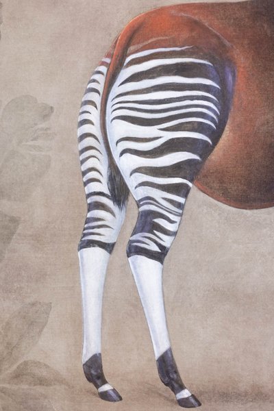 Bemalte Leinwand mit der Darstellung eines Okapi auf grauem Hintergrund. Zeitgenössisch.LS63391621B