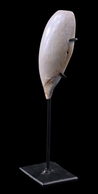 Ornement Corporel, Traditionnel, Art Tribal, Art Océanien, Océanie, Papouasie Nouvelle Guinée