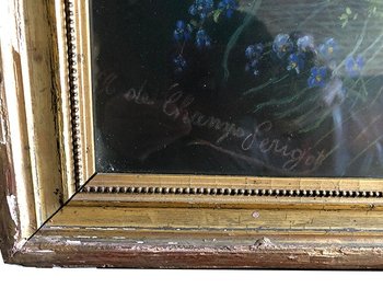 Pastel XIXe, fleurs des champs