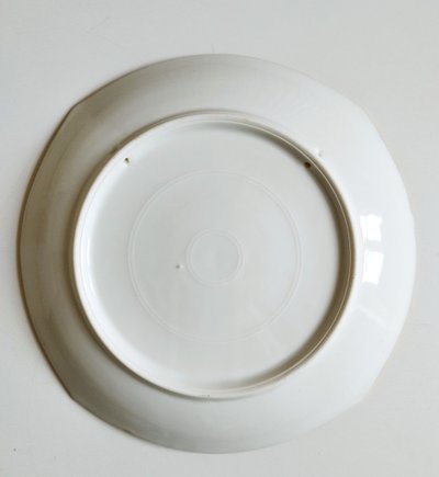 Assiette En Porcelaine Peinte à La Main Iris Libellules Signé Daté 1904 Art Nouveau