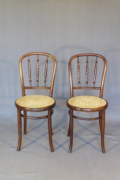 Set di 2 sedie Kohn bistrot cannées 1920 - in legno curvato - No Thonet