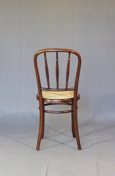 Set di 2 sedie Kohn bistrot cannées 1920 - in legno curvato - No Thonet