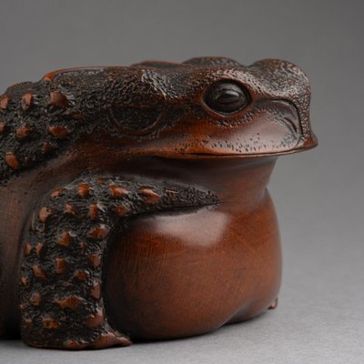 Bellissimo rospo in legno intagliato - Okimono, scultura, Giappone, Edo, XIX secolo