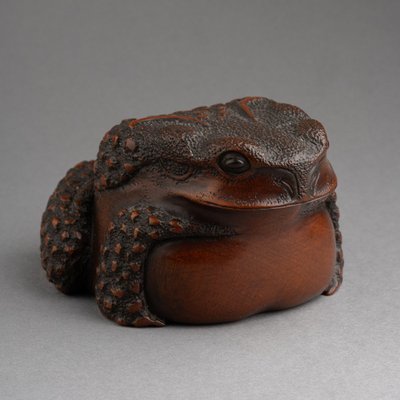 Bellissimo rospo in legno intagliato - Okimono, scultura, Giappone, Edo, XIX secolo