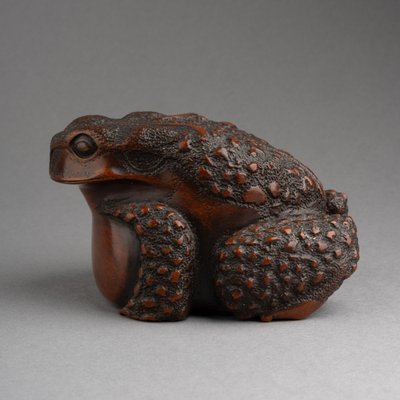 Bellissimo rospo in legno intagliato - Okimono, scultura, Giappone, Edo, XIX secolo