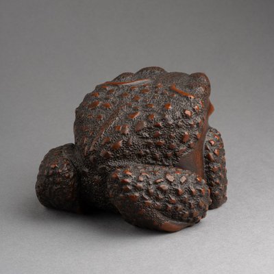 Bellissimo rospo in legno intagliato - Okimono, scultura, Giappone, Edo, XIX secolo