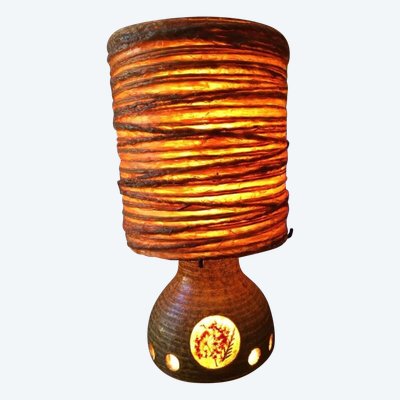 ACCOLAY Lampada a filo in resina con base in ceramica Erbario illuminato. Vintage anni '60