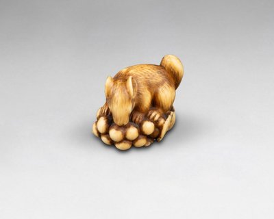 Netsuke En Ivoire Par Ranichi, Représentant Un Loir. Japon Edo