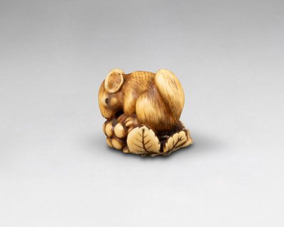 Netsuke En Ivoire Par Ranichi, Représentant Un Loir. Japon Edo