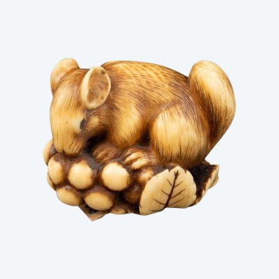 Netsuke En Ivoire Par Ranichi, Représentant Un Loir. Japon Edo