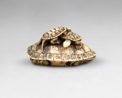 Netsuke in avorio raffigurante tre tartarughe. Giappone Edo, XIX secolo