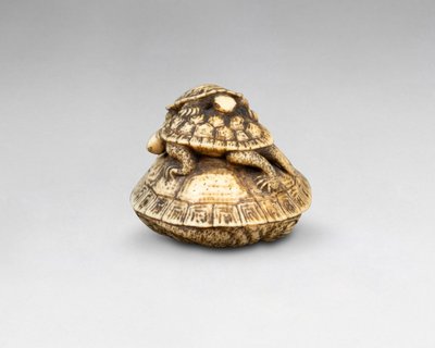 Netsuke in avorio raffigurante tre tartarughe. Giappone Edo, XIX secolo