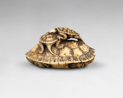 Netsuke in avorio raffigurante tre tartarughe. Giappone Edo, XIX secolo