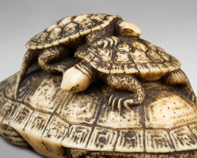 Netsuke in avorio raffigurante tre tartarughe. Giappone Edo, XIX secolo