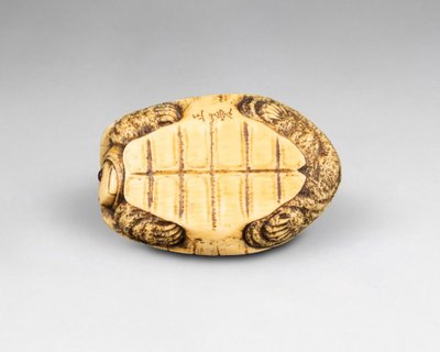 Netsuke in avorio raffigurante tre tartarughe. Giappone Edo, XIX secolo