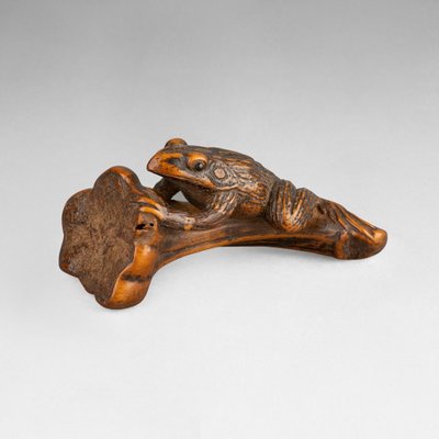 Netsuke - Grenouille Perchée Sur Une Queue De Coloquinte. Japon Edo