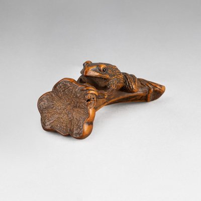 Netsuke - Grenouille Perchée Sur Une Queue De Coloquinte. Japon Edo