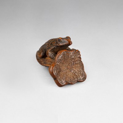 Netsuke - Grenouille Perchée Sur Une Queue De Coloquinte. Japon Edo