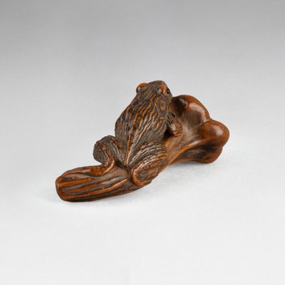 Netsuke - Grenouille Perchée Sur Une Queue De Coloquinte. Japon Edo