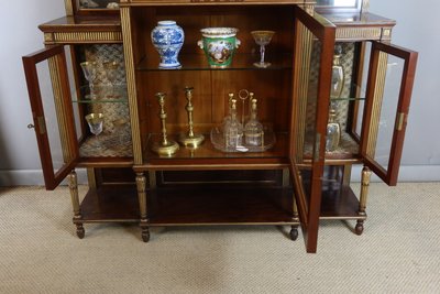 LOUIS XVI STYLE DISPLAY CABINET NAPOLEON III