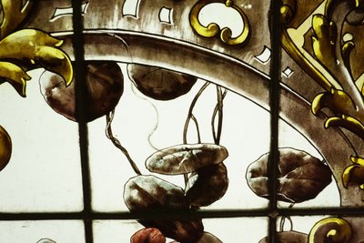 Vitrail - Vitraux - Végétations aux iris, pavot et capucine