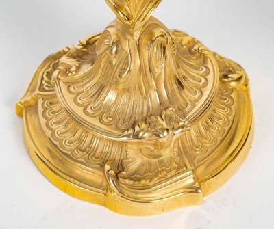 Dopo Juste-Aurèle Meissonnier: Coppia di torce in ormù in stile Luigi XV con farfalle