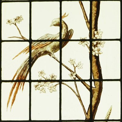 Stained glass - Stained glass windows - Crested bird