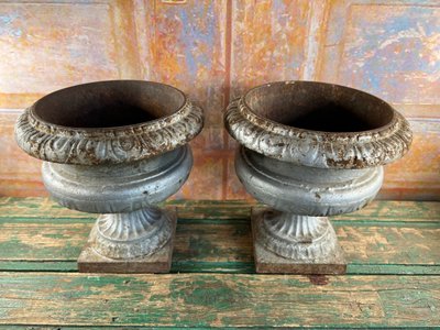 Pair of Medici Vases in Cast Iron, planter - Elegance of the 19th century
