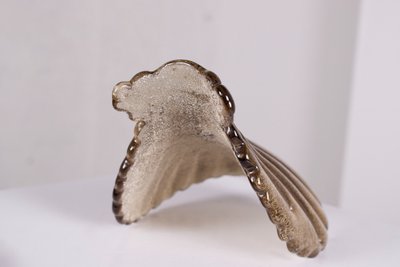 Paar „Coquillage“-Wandleuchten von Vetri Murano