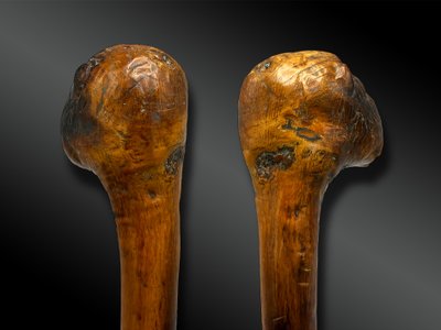 BASTONE - Europa - Fine XIX secolo