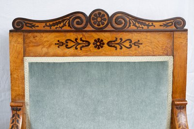 Pair of antique Charles X armchairs in elm burl and amaranth. France, 19th century.