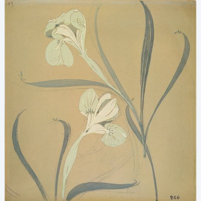 Gouache Schwertlilien Jugendstil Blumen Botanische Wanddekoration