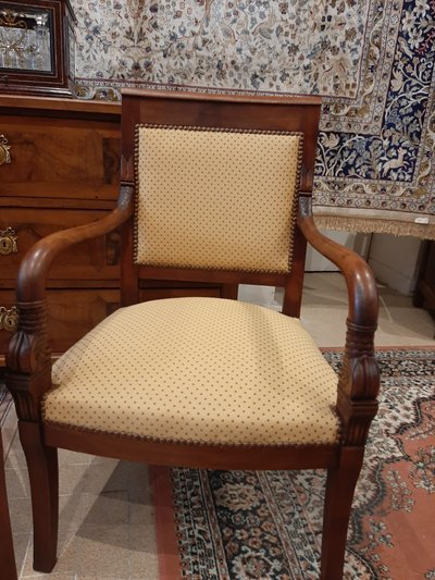 Paire de Fauteuils Têtes de Dauphin en Acajou Blond -  Début XIXème