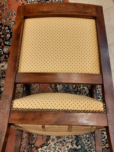 Paire de Fauteuils Têtes de Dauphin en Acajou Blond -  Début XIXème