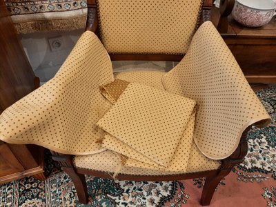 Paire de Fauteuils Têtes de Dauphin en Acajou Blond -  Début XIXème