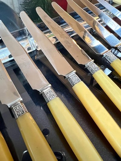 Entremet And Salad Serving Knives In Silver Horn And Metal Art Deco Service